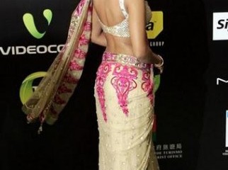 bollywood-saree Priyanka chopra style original