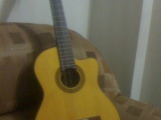 Classical Guitar Jack Danny with Equalizer Tuner