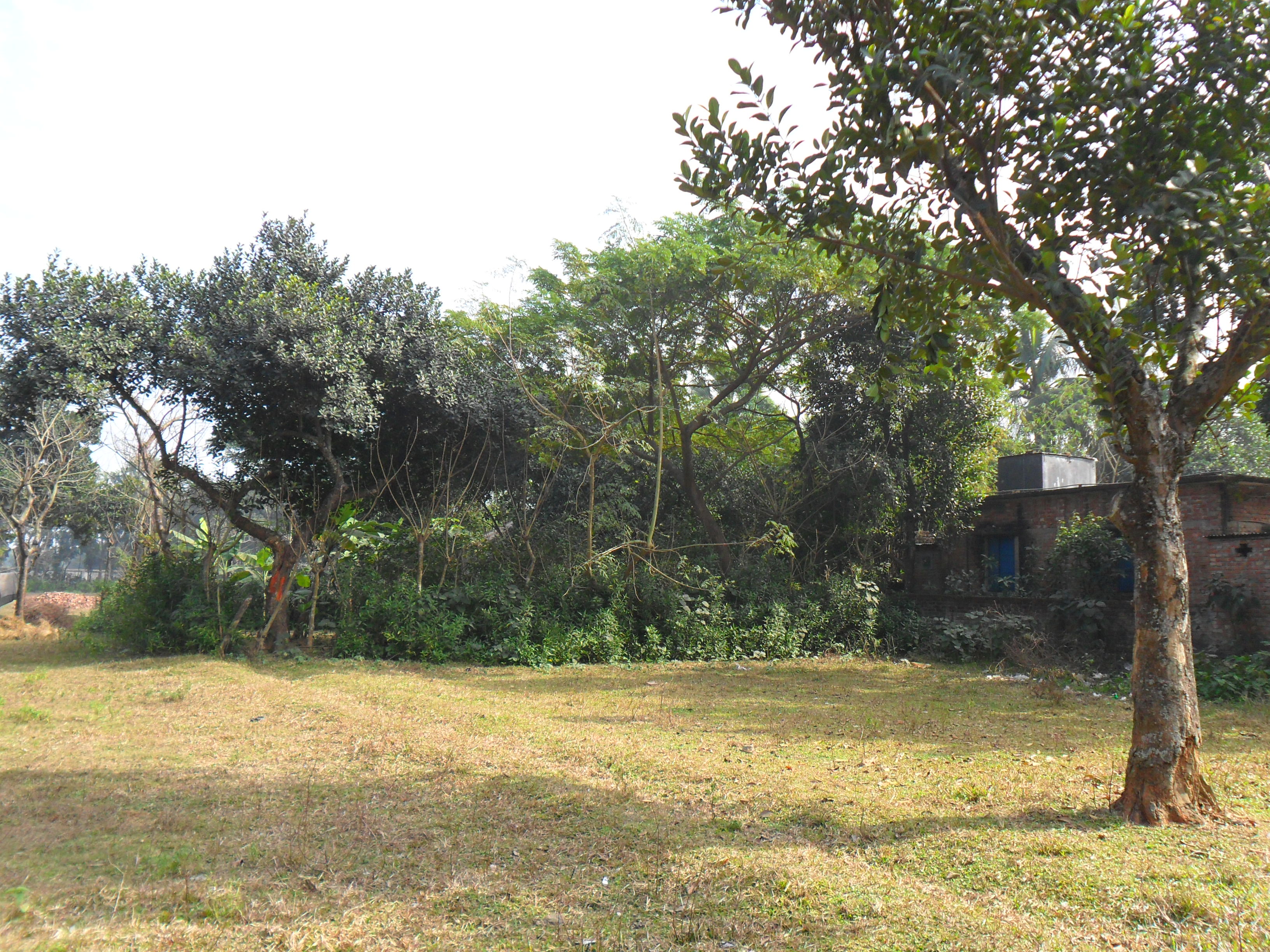 Land at Gouripur Ashulia large image 0