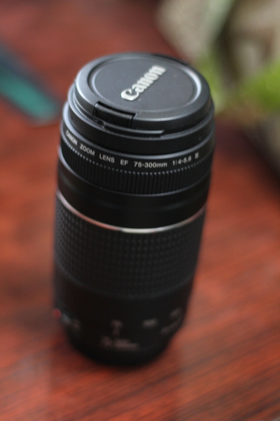 Canon EF 75-300 f 4-5.6 Zoom Lens large image 0