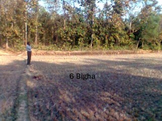 6 Bigha available fulbaria Gazipur