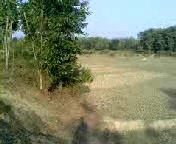 21 bigha Land available fulbaria Gazipur large image 2