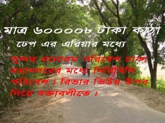 Land for sell 60000 taka per katha near Bashundhara River