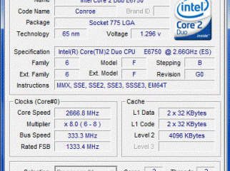 Intel 2.66Ghz 1333 BUS-4MB Core 2Duo Asus P-5Q EM 45Chip 
