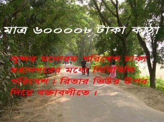 Urgent sell 10 katha land near Bashundhara River view