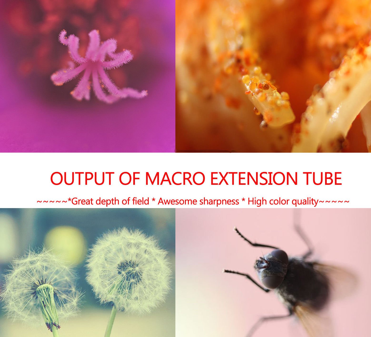 8-10X Macro Filter Wide Angle-Fisheye filter Macro extension large image 2