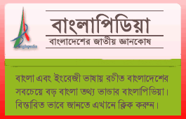 Original Banglapedia in Bangla Full Set 1-10  large image 0