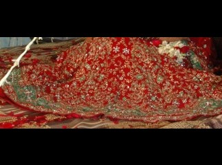 Gorgeous Lehenga Set in Red and green combination