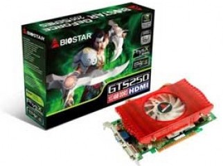 Nvidia s GeForce GTS 250 graphics card 1 GB.....Awesome pric