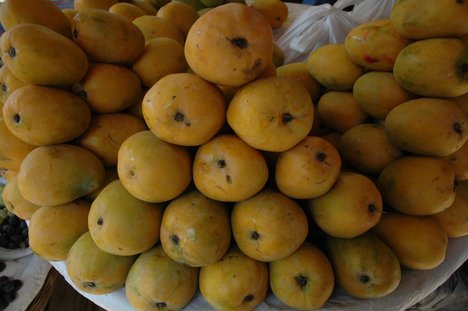 mango LANGRA GOPALVOG HIMSAGOR  large image 0