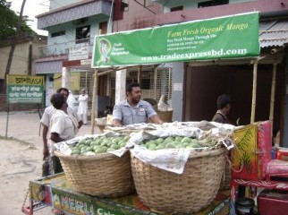 Mango From Rajshahi