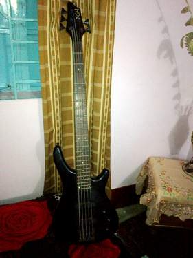 TGM 5 strings bass guitar large image 0