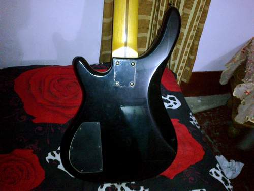 TGM 5 strings bass guitar large image 2