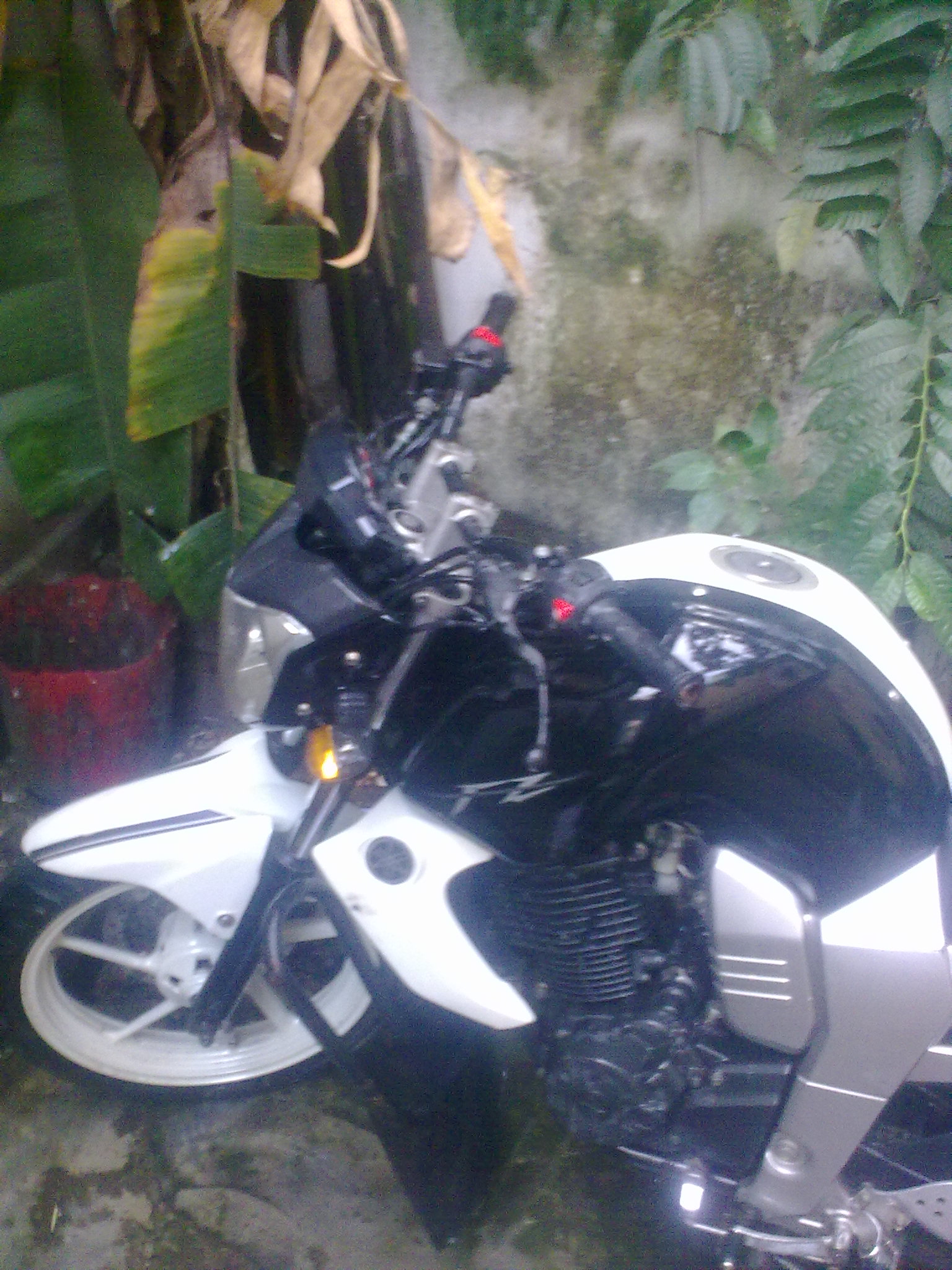 Yamaha FZ Black n White large image 0