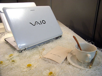Sony vaio and original sony dvd rom portable  large image 1