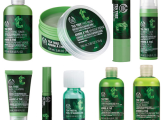 BODY SHOP COSMETICS