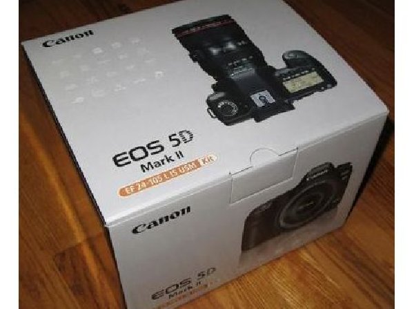 Canon EOS 5D Mark II Digital SLR Camera with Canon EF 24-105 large image 0