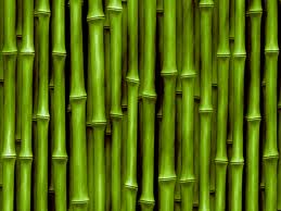 Bamboo Bamboo Bamboo supply from sylhet large image 0