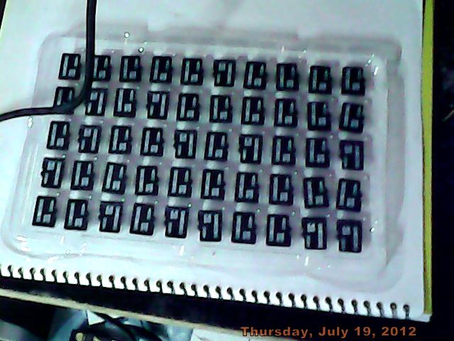 URGENT 1000 PCS 2 GB SAMSUNG MICRO SD MEMORY CARD SELL large image 1