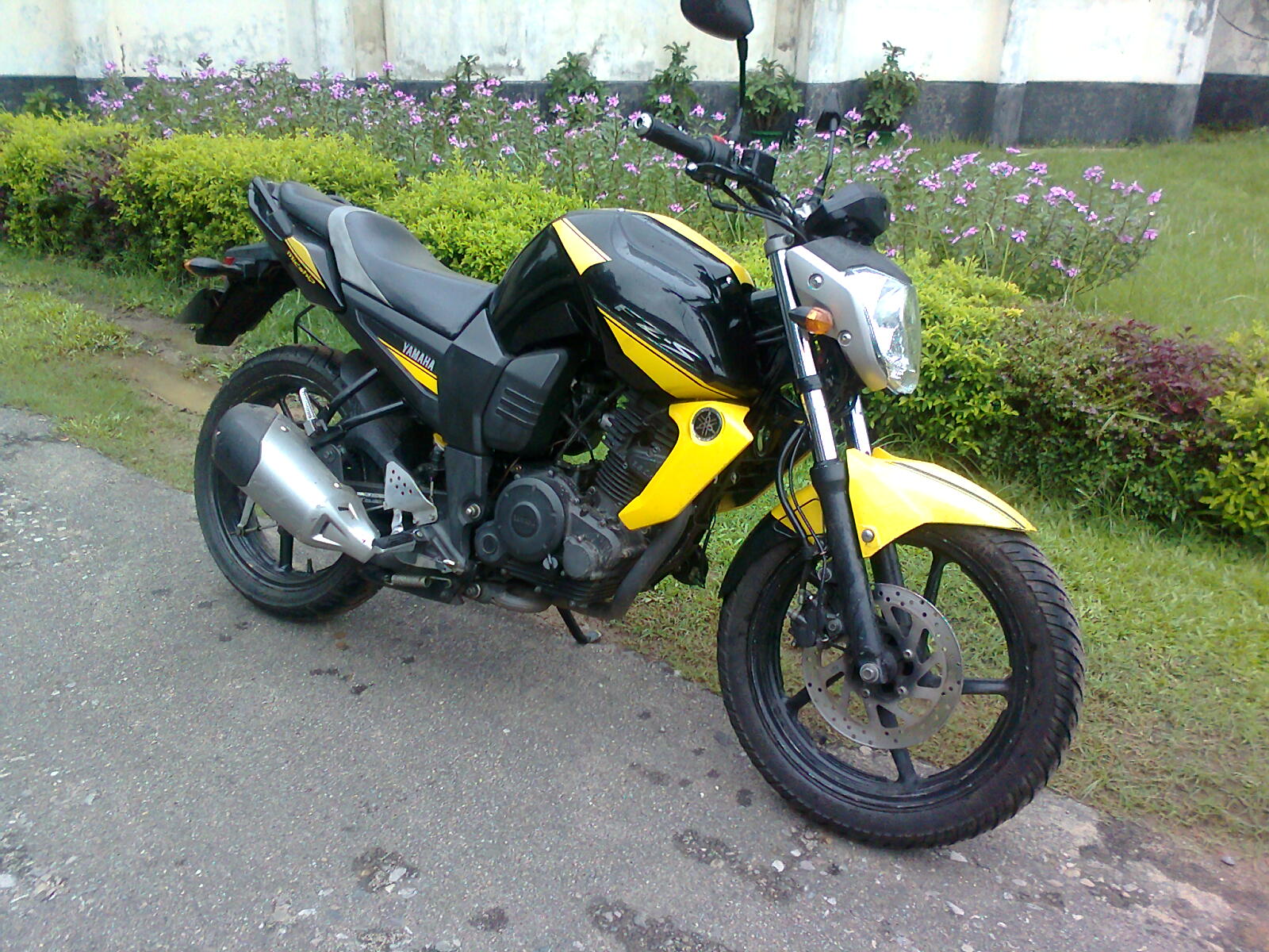 yamaha fzs large image 0