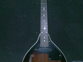 Custom Mandolin