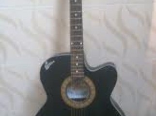 Signature Acuistic Guiter