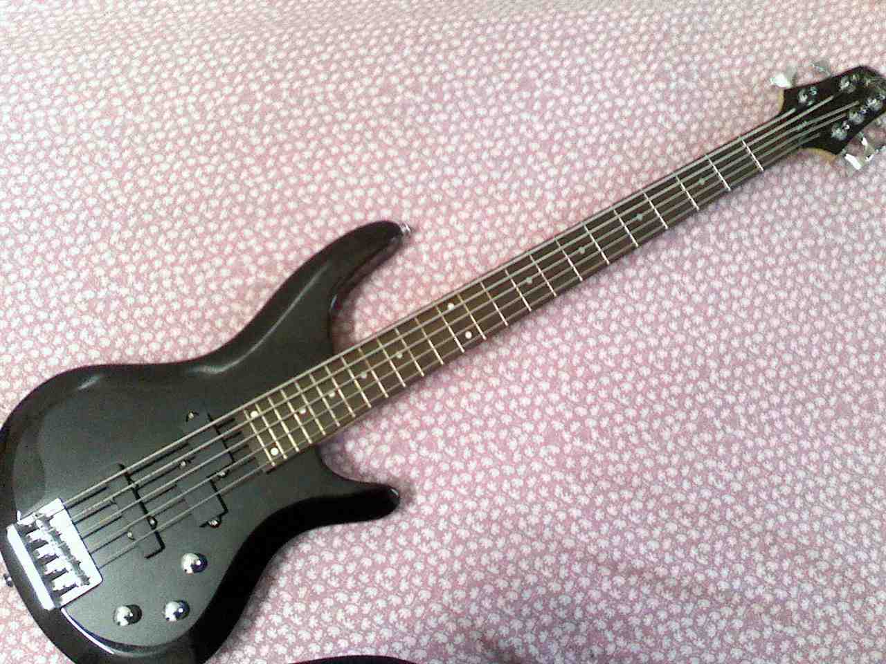 Bass Guitar washburn large image 0