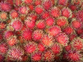 Rambutan