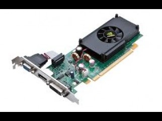 Nvidia GeForce 210 1.0 GB