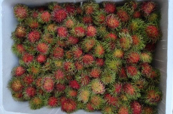 Rambutan large image 0