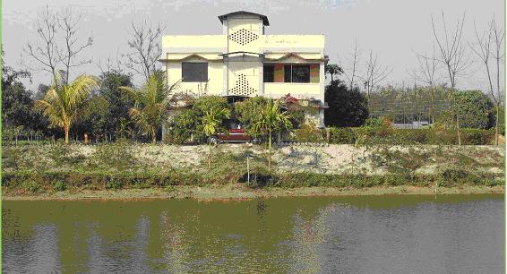 FARM AT THAKURGAON large image 0