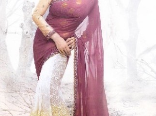 Indian No. 1 VISHAL Brand Saree