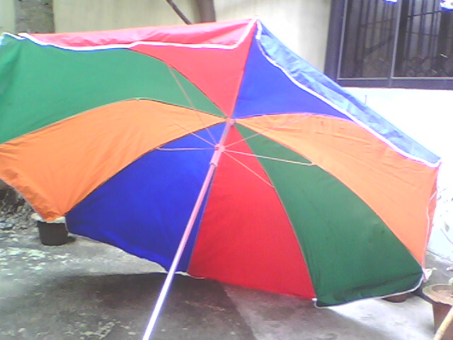 Beach Umbrella large image 1