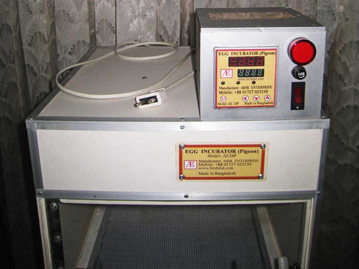 Egg Incubator Brooder large image 0