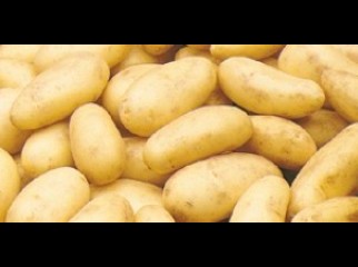 Fresh Atlas Potato