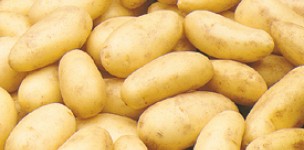 Fresh Atlas Potato large image 0