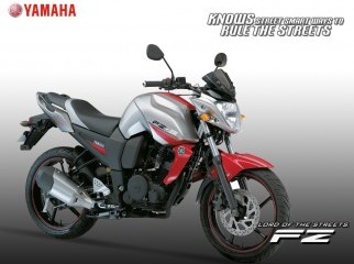 FZS any colours new