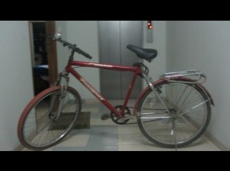 A phoenix collectable cycle for sale