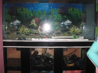 Aquarium for sell