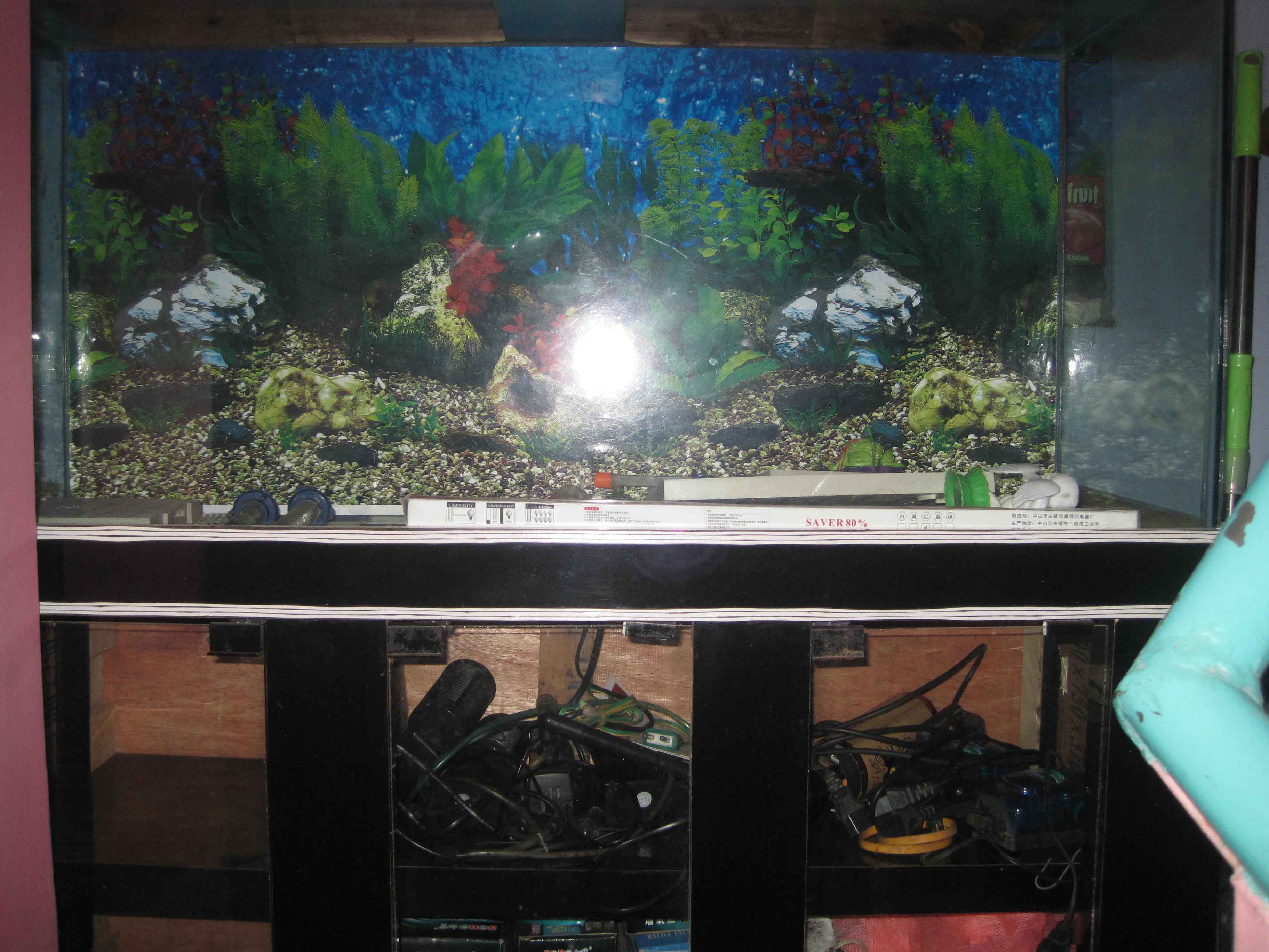 Aquarium for sell large image 0