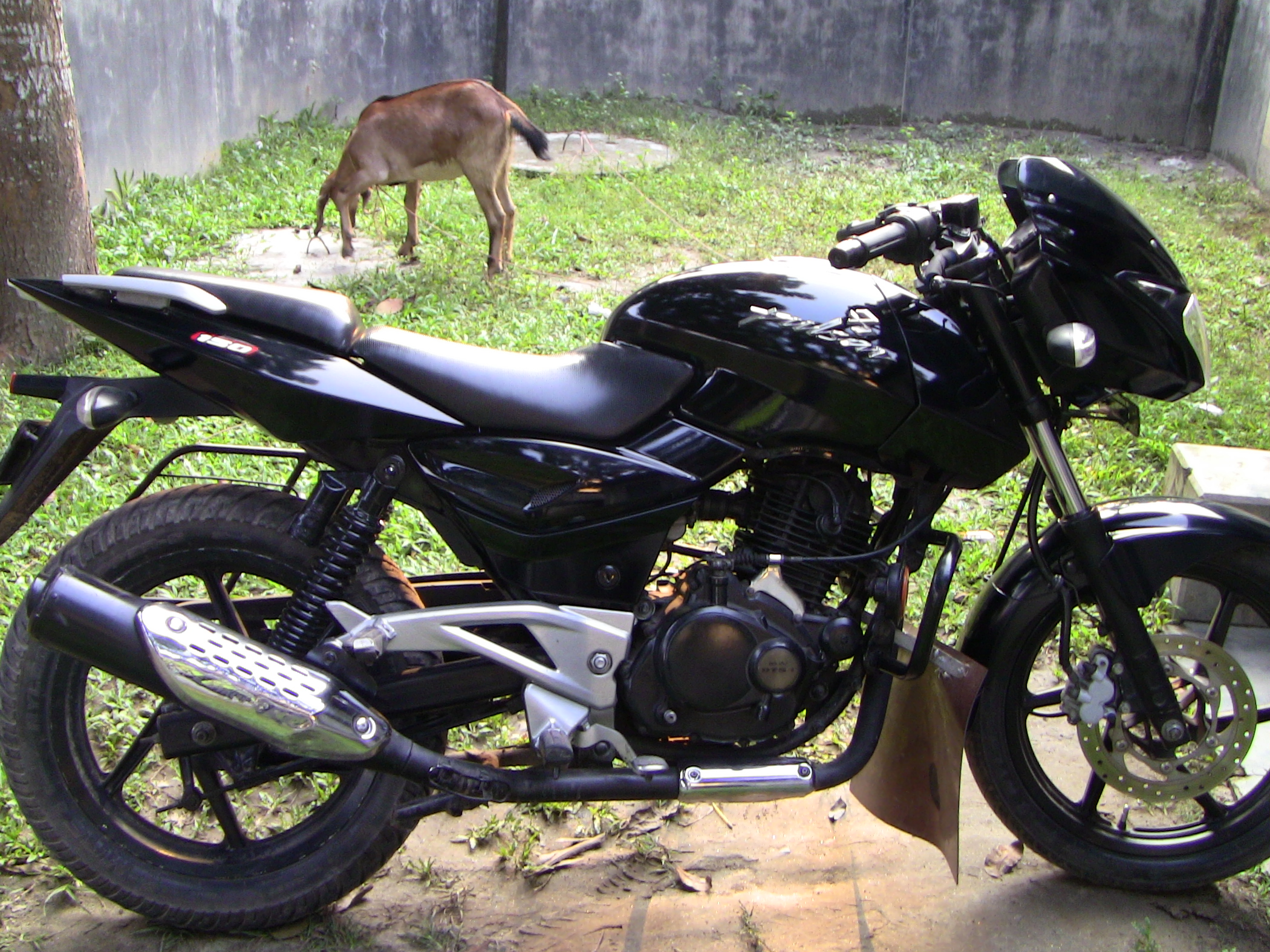 Bajaj Pulsar 180cc look same as Pulsar 150cc large image 0