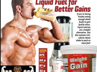 nutrisport weight gainer from www.bdsupplement.com