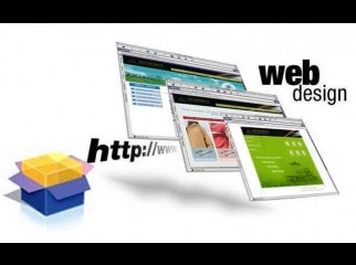 Web Developer