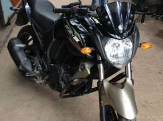 Yamaha Fzs black golden shade