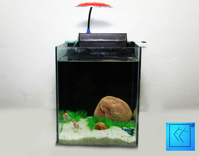 Fish n Fishee The online pet shop Aquarium  large image 0