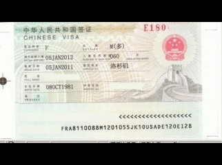 Tourist or business Visa
