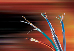 BELDEN UTP Cat-6 Cable large image 0