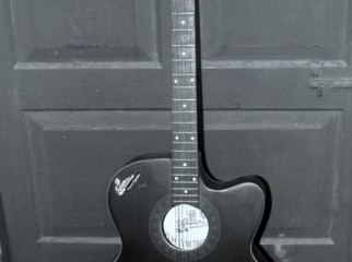 acoustic signature guitar