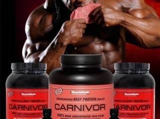 www.bdsupplement.com carnivor mass