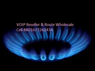 Voip reseller